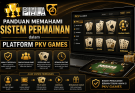 Panduan Memahami Sistem Permainan dalam Platform PKV Games